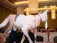 Αθηνα 3-2009 077 α.jpg