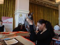 Αθηνα 3-2009 093 α.jpg