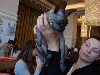 Αθηνα 3-2009 096 α.jpg