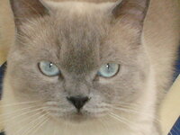 Εικόνα 4276.jpg