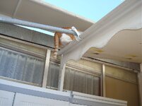 Τέντα 28-02-09 005 β.jpg