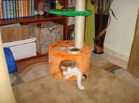 Αρης στο ονυχοδρομειο α.jpg