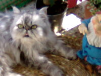 Λεω να σκεφτ001.jpg