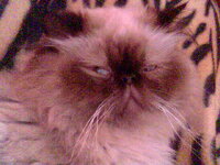 Λεω να σκεφτ003.jpg