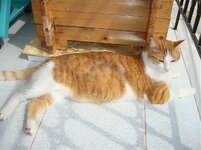 Πάσχα 2009 048 α.jpg