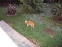 Πάσχα 2009 002 α.jpg