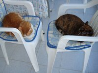 26-04-09 Χωριό 007 α.jpg