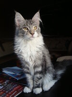 ΠΑΣΧΑ 2009 053.jpg