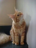 ΠΑΣΧΑ 2009 067.jpg