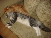 ΠΑΣΧΑ 2009 058.jpg