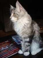 ΠΑΣΧΑ 2009 075.jpg