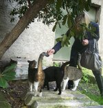 Cordelia with several cats.jpg