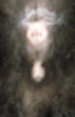 P5200301.JPG  222.jpg