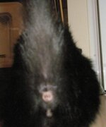 Αντίγραφο από P5200300.JPG