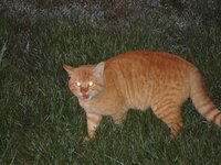 Πάσχα 2009 004 β.jpg