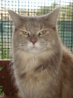 ACDC - NEKTAR 025.jpg