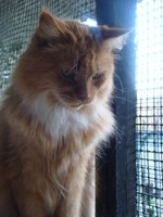 ACDC - NEKTAR 024.jpg