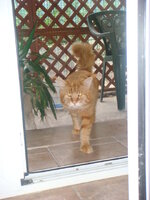 ACDC - NEKTAR 028.jpg