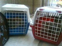 σοσμενα σε κλουβακι.jpg