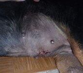 Αντίγραφο του P8010260.JPG