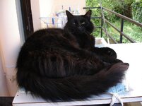 Εικόνα 001.jpg