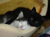 Εικόνα 009.jpg