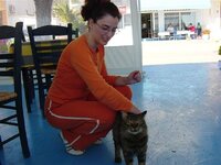 KORFOS PICTURES 8.jpg