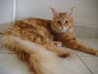 cammy and duran 012.jpg