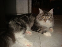 cammy and duran 003.jpg