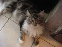 cammy and duran 007.jpg