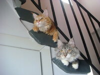 cammy and duran 001.jpg