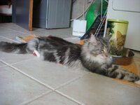 cammy and duran 019.jpg