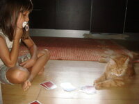 γατούλες 008.jpg