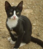 χωρίς τίτλο.JPG