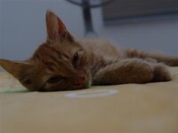 DSC06439 (Small).JPG