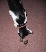 Εικόνα 013.jpg