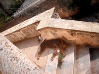 Αντίγραφο του Εικόνα 511.jpg