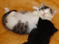 Εικόνα 020.jpg