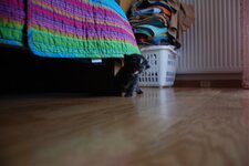 DSC_2972 [Ανάλυση οθόνης].jpg