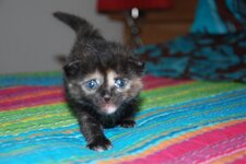 DSC_2979 [Ανάλυση οθόνης].jpg