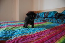 DSC_2982 [Ανάλυση οθόνης].jpg