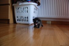 DSC_2992 [Ανάλυση οθόνης].jpg