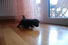 DSC_2994 [Ανάλυση οθόνης].jpg