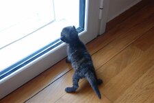 DSC_3001 [Ανάλυση οθόνης].jpg