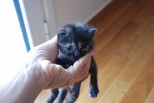 DSC_3003 [Ανάλυση οθόνης].jpg