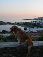 P1130725 [Ανάλυση οθόνης].jpg