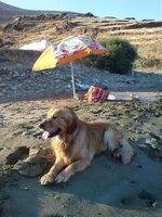 DSC00344 [Ανάλυση οθόνης].jpg