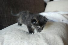 DSC_3074 [Ανάλυση οθόνης].jpg