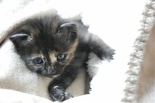 DSC_3031 [Ανάλυση οθόνης].jpg