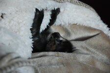 DSC_3045 [Ανάλυση οθόνης].jpg